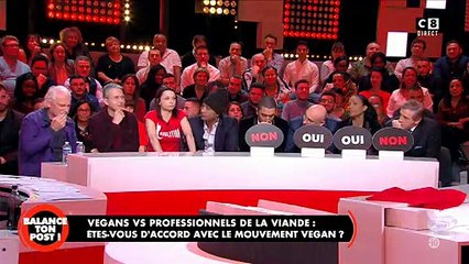 Une militante végane se précipite sur Cyril Hanouna avant d'être intercepté par la sécurité