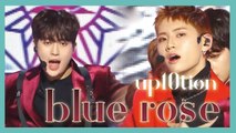 [HOT] UP10TION -  Blue Rose,  업텐션 - Blue Rose Show Music core 20190112