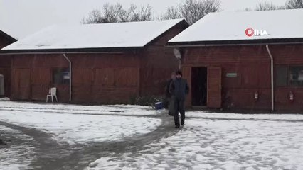 Barınma Evinde Kalan Ressam Özuyanık: "Cumhurbaşkanı Erdoğan'ın Resmini Yaptığımda Bütün Solcular...