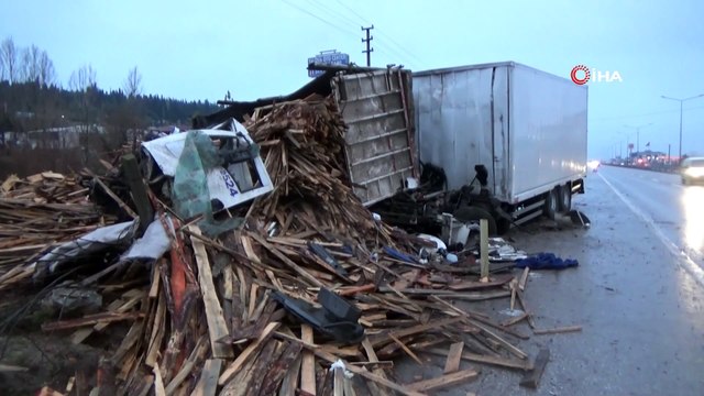 Yalova'da Korkunç Ölüm! Tahta Parçaları Vücuduna Saplandı
