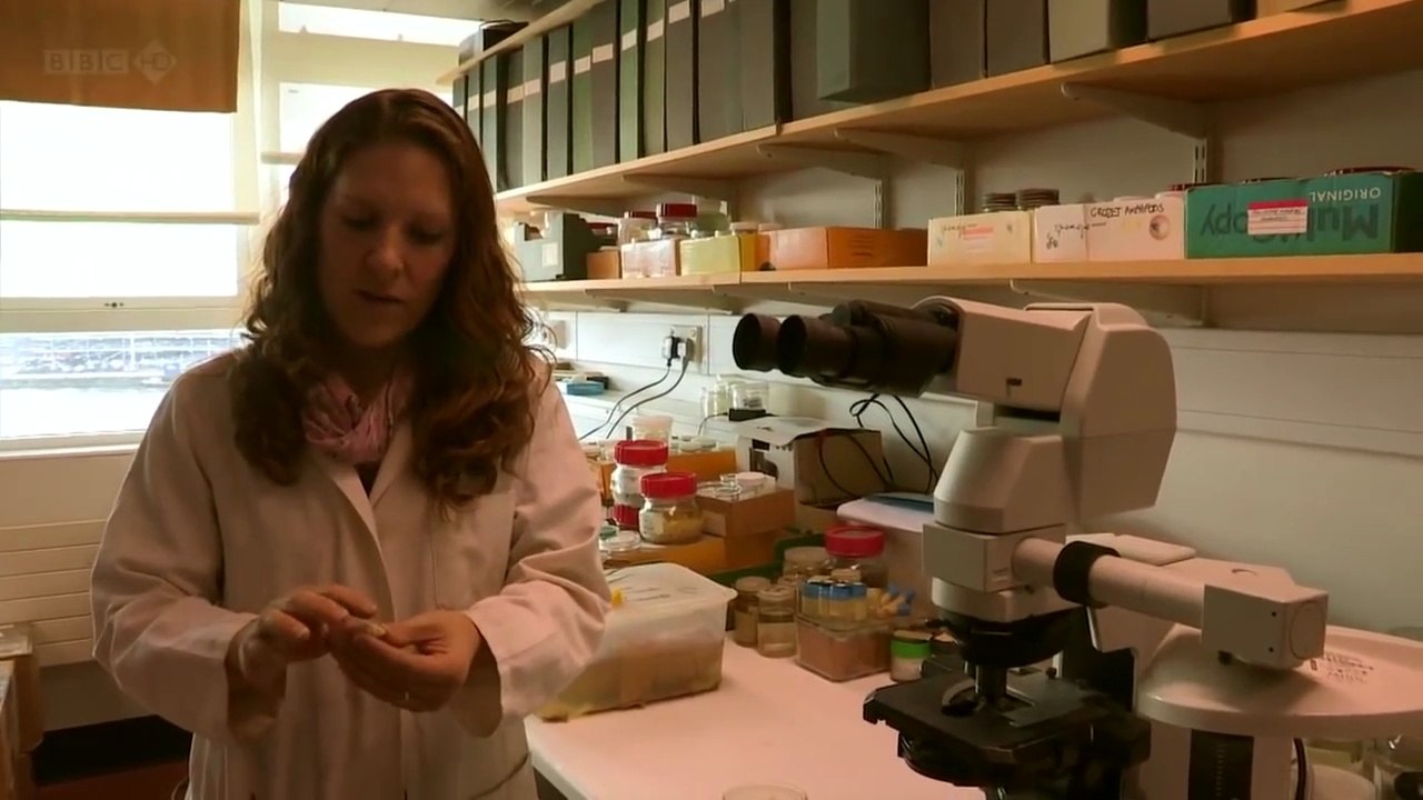 Khoa Học Khám Phá - Những Sự Kiện Kỳ Lạ Của Tự Nhiên (Phần 1)