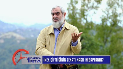 969) İnek çiftliğinin zekatı nasıl hesaplanır? / Birfetva