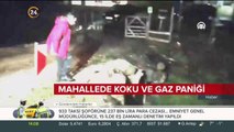 Mahallede koku ve gaz paniği