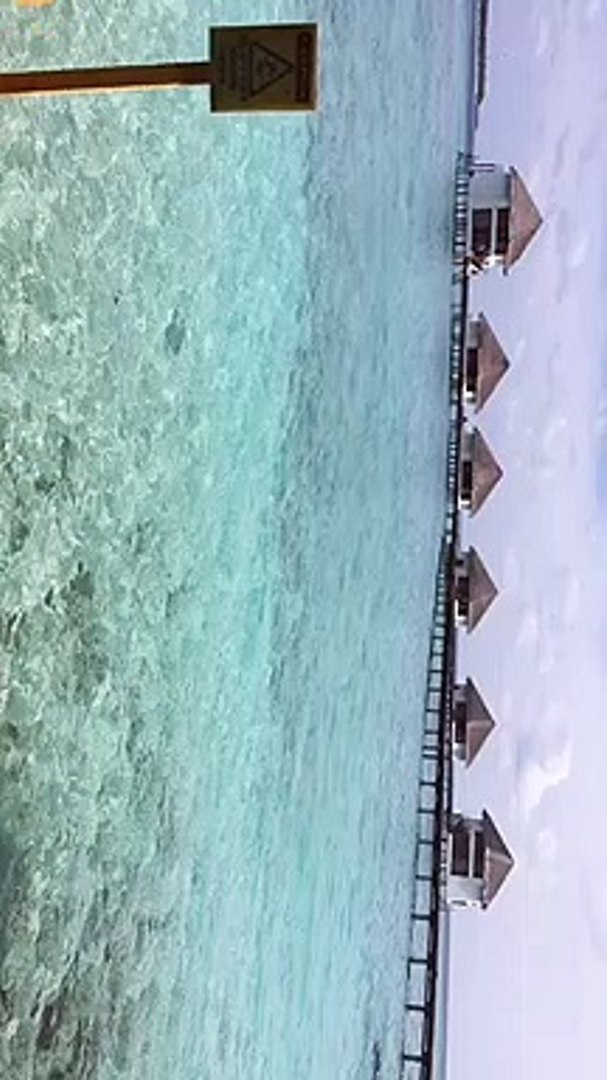 ⁣Travel Titli Reviews -Maldives Honeymoon Package on Low Budget - Best Maldives Travel Guide