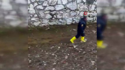 Kediyi kurtarmak için itfaiye ekipleri seferber oldu