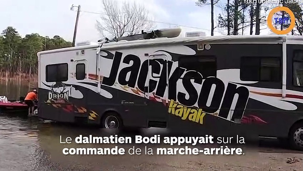 Un dalmatien appuie sur la marche-arrière et envoie une caravane droit dans un lac !