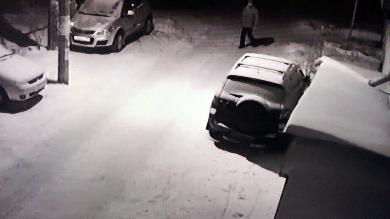 Russie : un chien vengé par le karma