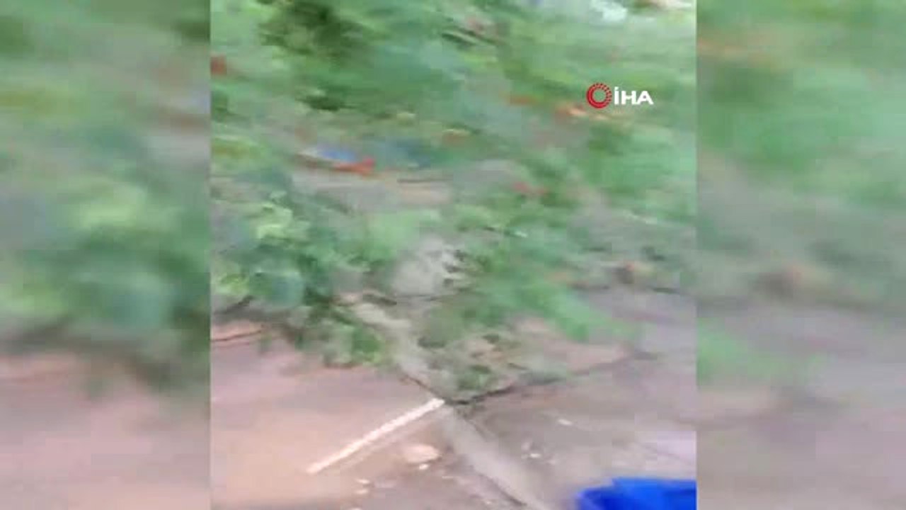 Kaş'ta Sağanak Yağmur Bazı Seraları Su Baskınlarına Sebep Oldu