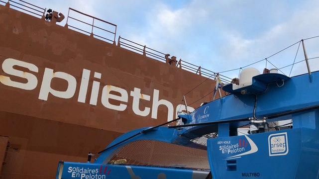 Les voiliers du Rhum par cargo spécial