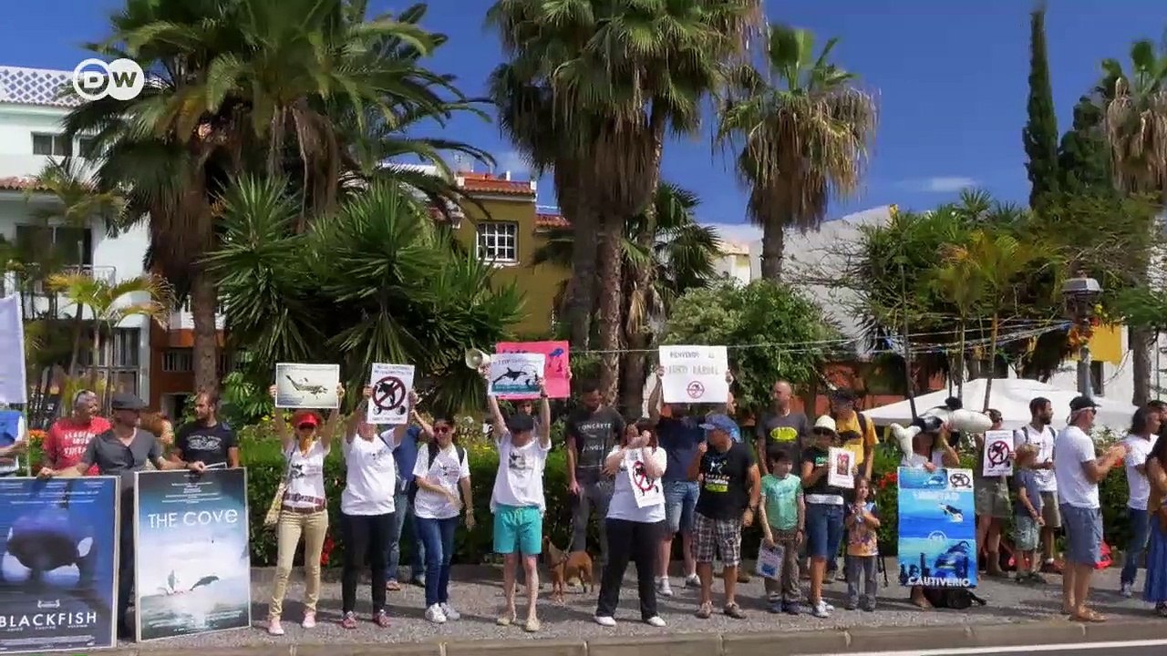 Befreit die Wale! | DW Reporter