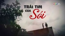 Trái Tim Của Sói Tập 23 - Phim Việt Nam