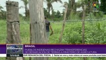 Brasil: indígenas rechazan decisiones sobre delimitación de tierras