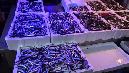 Kocaeli Hurdacıda Panik Yaratan Koku