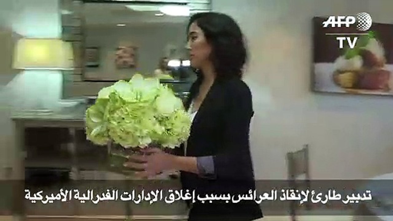 تدبير طارئ لإنقاذ العرائس بسبب إغلاق إدارات فدرالية أميركية