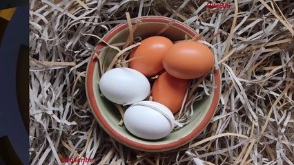 अंडा खाने वाले इस वीडियो को एक बार जरूर देखें *  Is eating egg beneficial for our health ?