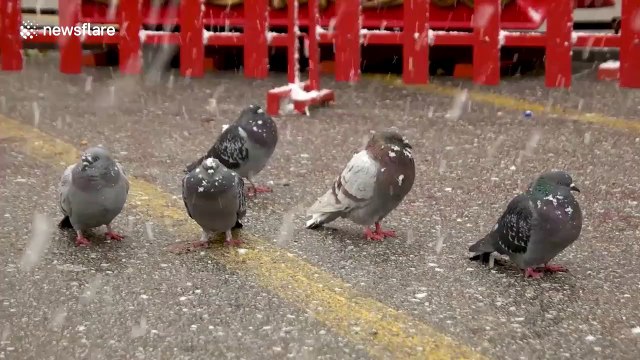 Heavy snowstorm blankets parts of Greece
