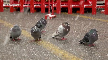 Heavy snowstorm blankets parts of Greece