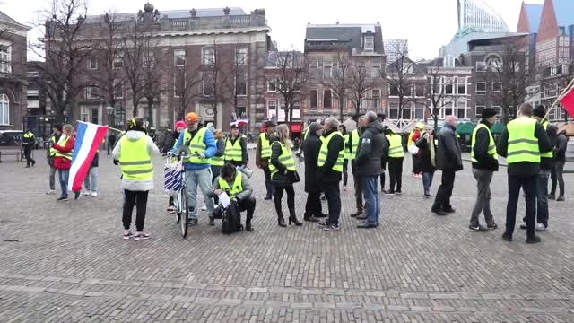 Hollanda'da Sarı Yelekliler Hükümeti Protesto Etti - Lahey