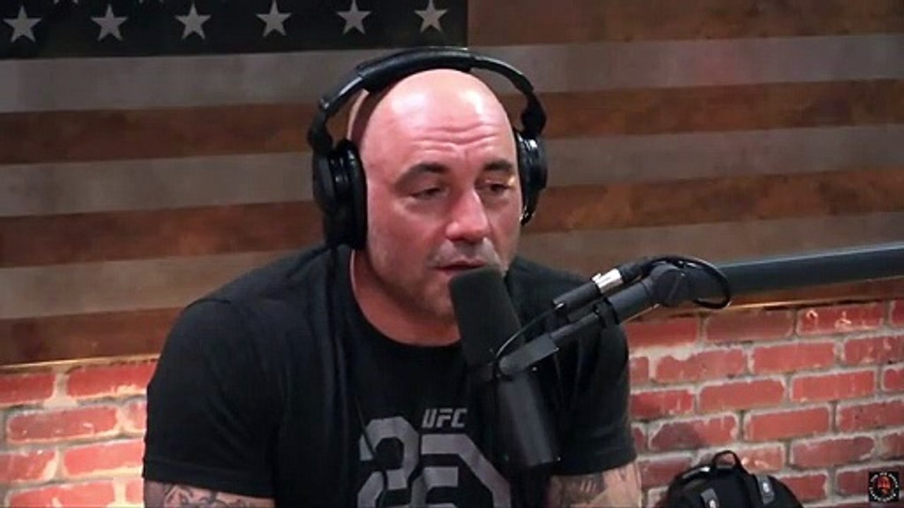 Joe Rogan - The Diaz Brothers are Superstars!!