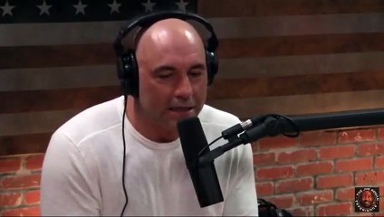 Joe Rogan on Trump's Wall, Immigration, and Government Shutdown_