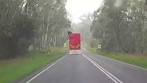 Une vache tente de s'échapper d'un camion ! Par le toit