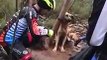 Des cyclistes sauvent un chien abandonné et attaché à un arbre en pleine foret