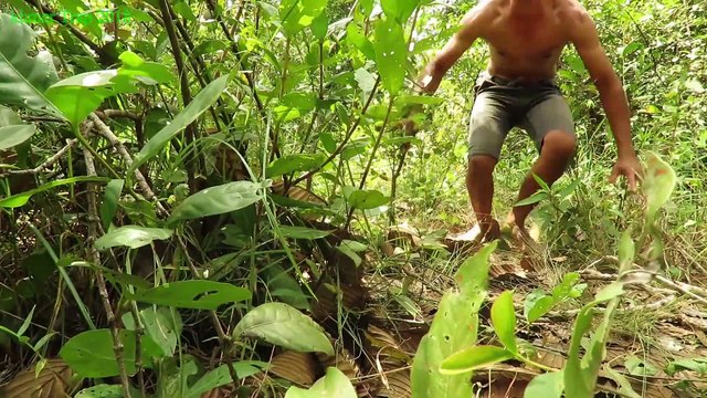 Primitive Technology - Find and Cooking Pig lntestines - Eating delicious
