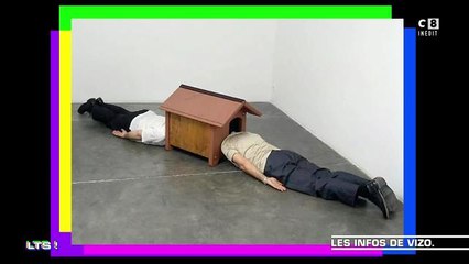 Les Terriens du samedi - les infos Vizo