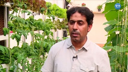 Suudi Arabistan Tarımda Reformu Amaçlıyor