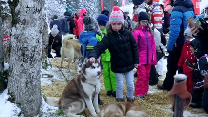 Résumé de la présentation des attelages – Samedi 12 janvier – Samoëns