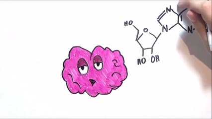 What Does Coffee REALLY Do to Your Body?