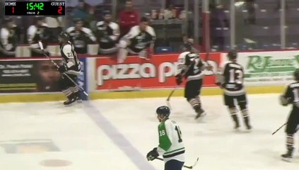 ECHL Maine Mariners 4 at Brampton Beast 3