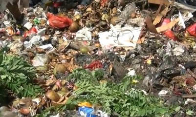 Buang Sampah di TPS Ilegal Kolong Tol Priok Dikenai Tarif Mulai Rp 2.000