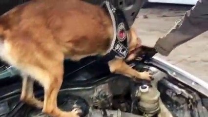 Aracın motor kısmına gizlenmiş 11 kilo 875 gram metamfetamin ele geçirildi - VAN