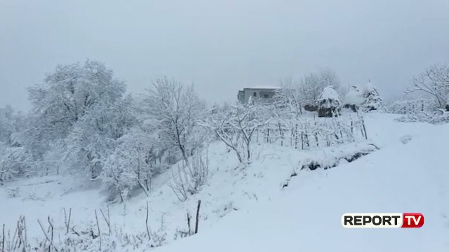 Dukagjin/ Flet mësuesi i izoluar nga bora: Jam i sëmurë dhe pa ushqim, të më marri helikopteri