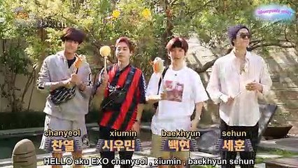 [INDO SUB] 190110 Travel the world on EXO's ladder Season 2 Teasers