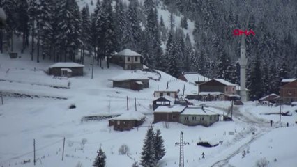 Trabzon Yaylada Kalan Köpekleri Besliyorlar