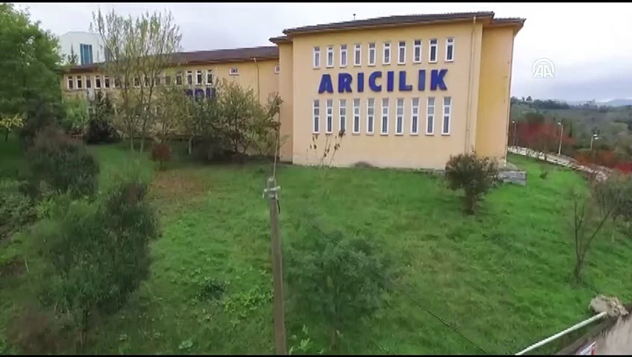 'BALMER etiketli ballar güvenilirdir' - ORDU