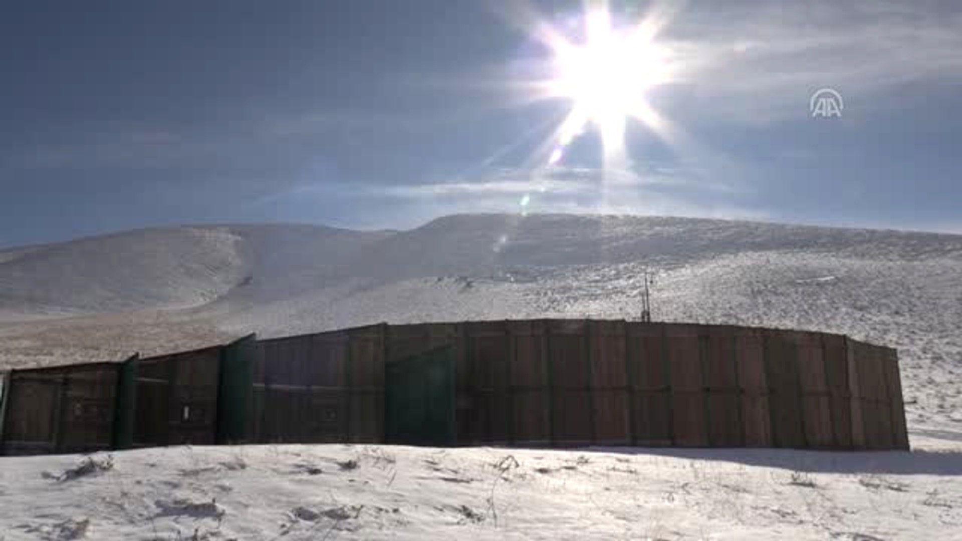 Anadolu Yaban Koyunlarına Yem Desteği