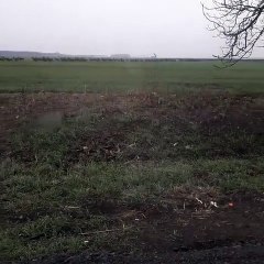 Des automobilistes se font subitement arrêter par un énorme convoi