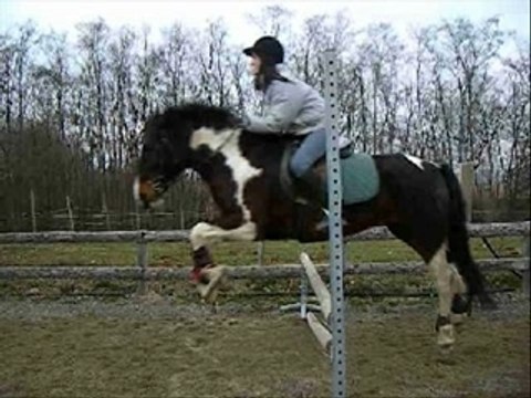 Séance de saut d'obstacle