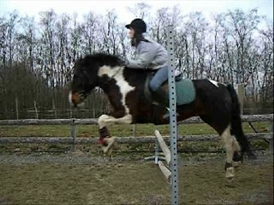Séance de saut d'obstacle
