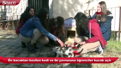 Ön bacakları kesilen kedi ve iki yavrusuna öğrenciler kucak açtı