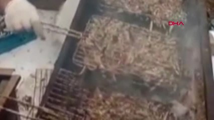 Bursa Festivalde Dağıtılan 2 Ton Ekmek Arası Hamsi Dakikalar İçinde Tükendi