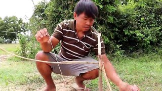 Unique Bird Trap - Technique Bird trap | learning to make Fantastic Bird Trap