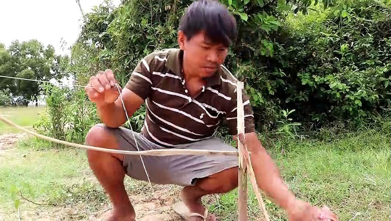 Unique Bird Trap - Technique Bird trap | learning to make Fantastic Bird Trap