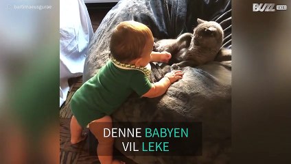 Denne katten vil ikke ha kos fra en baby!