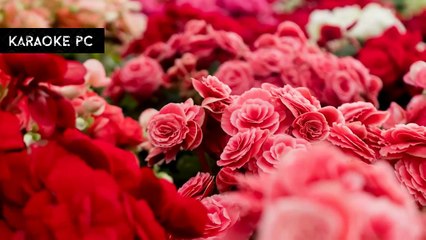 Karaoke Cố Chấp Để Yêu Một Người - Vương Thiên Tuấn