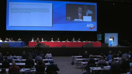 "Germania fuori dall'Ue?" Per AfD è "un'utopia"