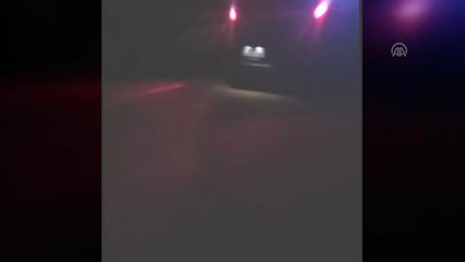 Bodrum'da Domuz Saldırısına Uğrayan 2 Kişi Yaralandı